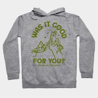 Was It Good For You? Devour The Patriarchy Praying Mantis Hoodie